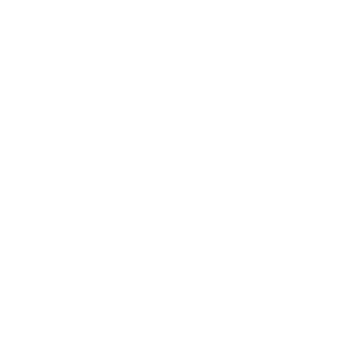 Icon sicherer Zugang