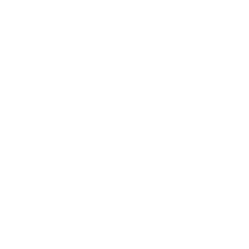 Icône